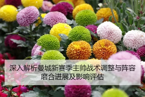 shen-ru-jie-xi-man-cheng-xin-sai-ji-zhu-shuai-zhan-shu-tiao-zheng-yu-zhen-rong-mo-he-jin-zhan-ji-ying-xiang-ping-gu-2-731.jpg